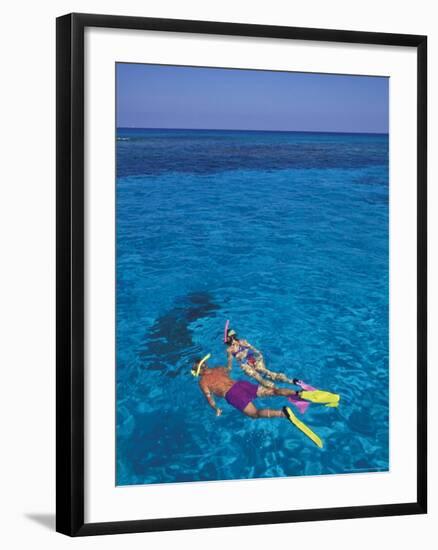 Snorkeling in Clear Waters, Bahamas, Caribbean-Greg Johnston-Framed Photographic Print