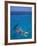 Snorkeling in Clear Waters, Bahamas, Caribbean-Greg Johnston-Framed Photographic Print