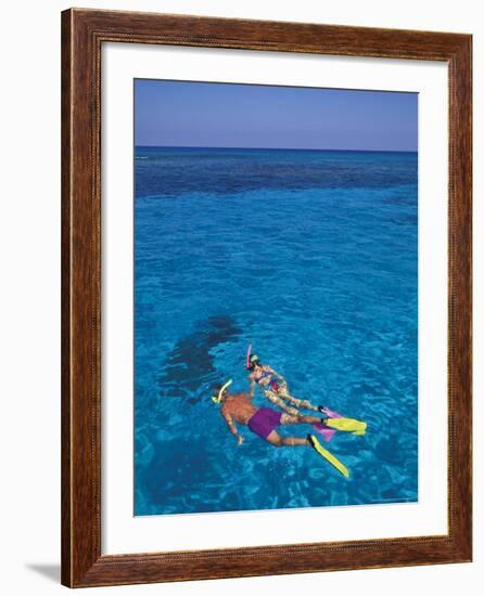 Snorkeling in Clear Waters, Bahamas, Caribbean-Greg Johnston-Framed Photographic Print