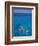 Snorkeling in Clear Waters, Bahamas, Caribbean-Greg Johnston-Framed Photographic Print