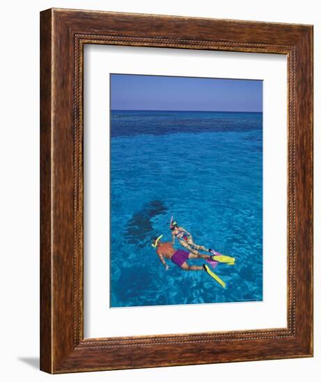 Snorkeling in Clear Waters, Bahamas, Caribbean-Greg Johnston-Framed Photographic Print