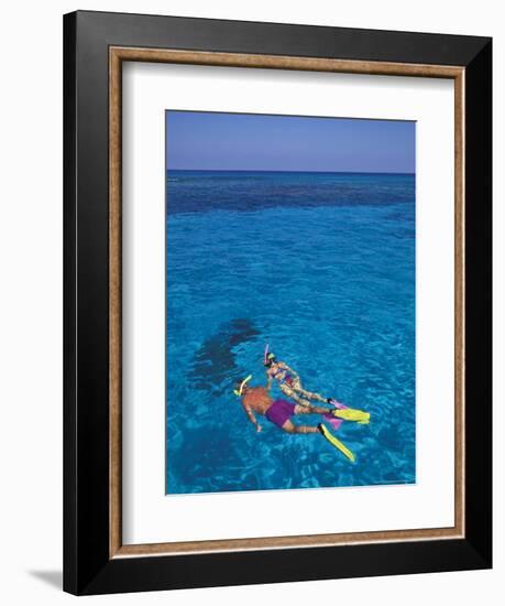 Snorkeling in Clear Waters, Bahamas, Caribbean-Greg Johnston-Framed Photographic Print