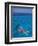 Snorkeling in Clear Waters, Bahamas, Caribbean-Greg Johnston-Framed Photographic Print