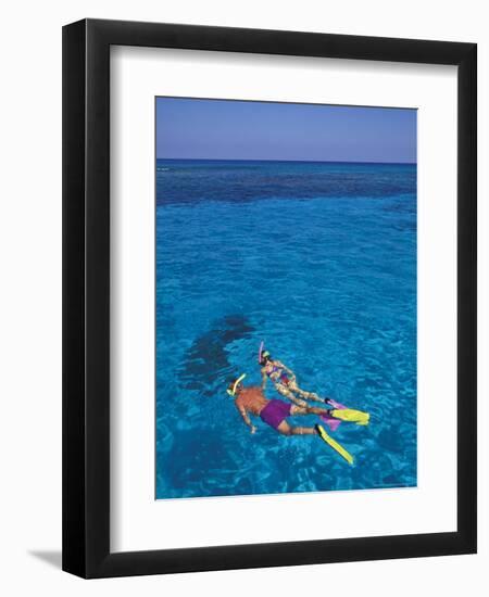 Snorkeling in Clear Waters, Bahamas, Caribbean-Greg Johnston-Framed Photographic Print