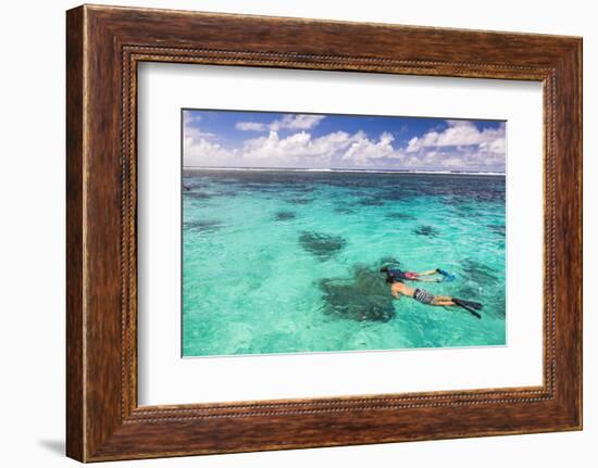 Snorkeling in Muri Lagoon on Captain Tama's Lagoon Cruises, Rarotonga, Cook Islands, Pacific-Matthew Williams-Ellis-Framed Photographic Print