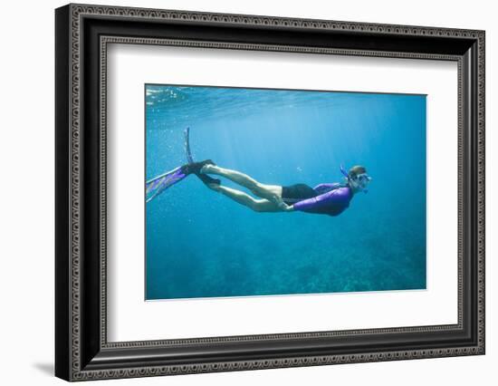 Snorkeling in Shallow Water-DLILLC-Framed Photographic Print