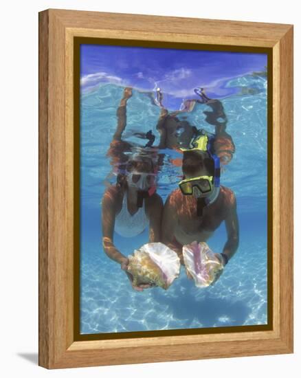 Snorkeling in the Blue Waters of the Bahamas-Greg Johnston-Framed Premier Image Canvas