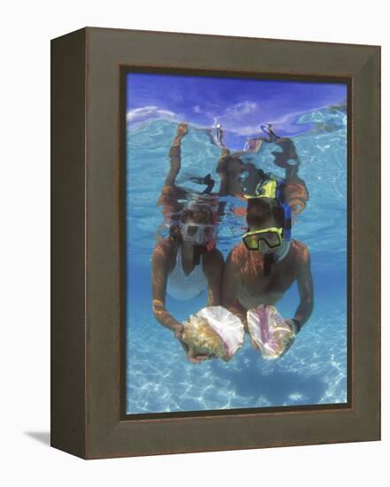 Snorkeling in the Blue Waters of the Bahamas-Greg Johnston-Framed Premier Image Canvas