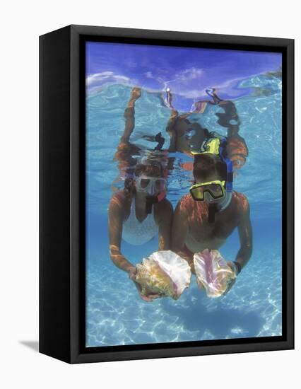 Snorkeling in the Blue Waters of the Bahamas-Greg Johnston-Framed Premier Image Canvas