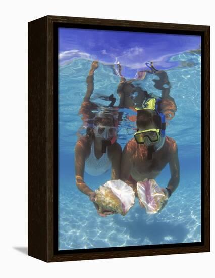 Snorkeling in the Blue Waters of the Bahamas-Greg Johnston-Framed Premier Image Canvas