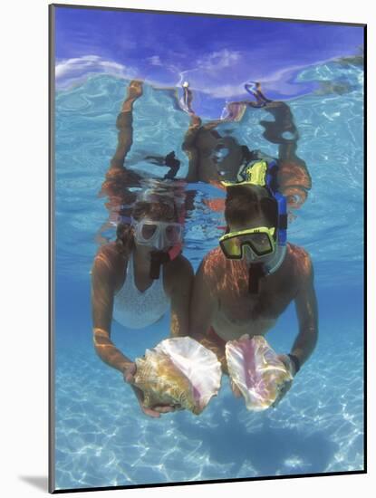 Snorkeling in the Blue Waters of the Bahamas-Greg Johnston-Mounted Photographic Print