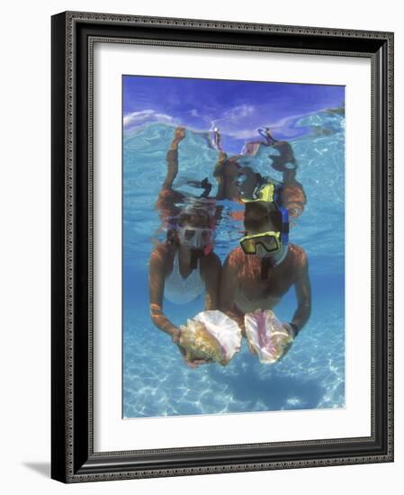 Snorkeling in the Blue Waters of the Bahamas-Greg Johnston-Framed Photographic Print