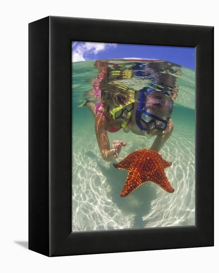 Snorkeling in the Blue Waters of the Bahamas-Greg Johnston-Framed Premier Image Canvas