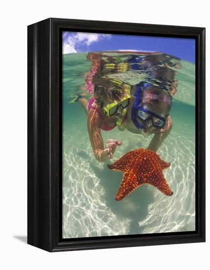 Snorkeling in the Blue Waters of the Bahamas-Greg Johnston-Framed Premier Image Canvas