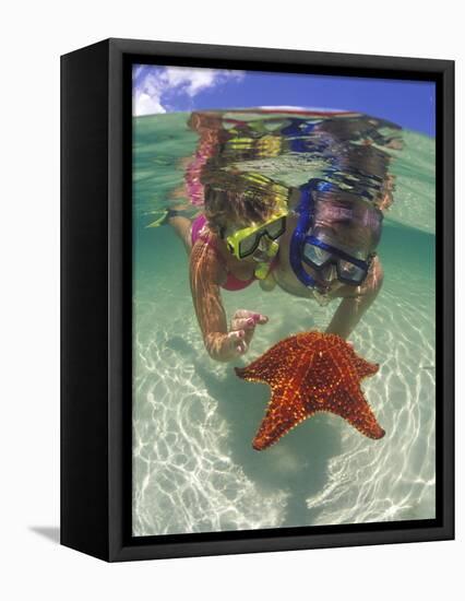 Snorkeling in the Blue Waters of the Bahamas-Greg Johnston-Framed Premier Image Canvas