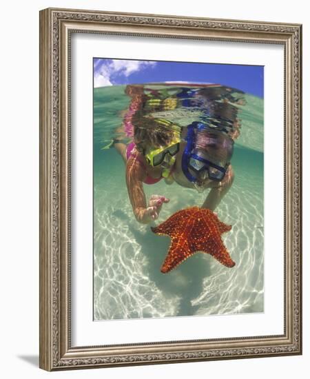 Snorkeling in the Blue Waters of the Bahamas-Greg Johnston-Framed Photographic Print