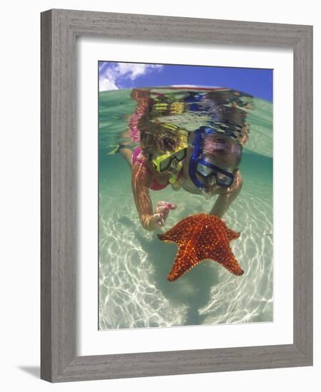 Snorkeling in the Blue Waters of the Bahamas-Greg Johnston-Framed Photographic Print