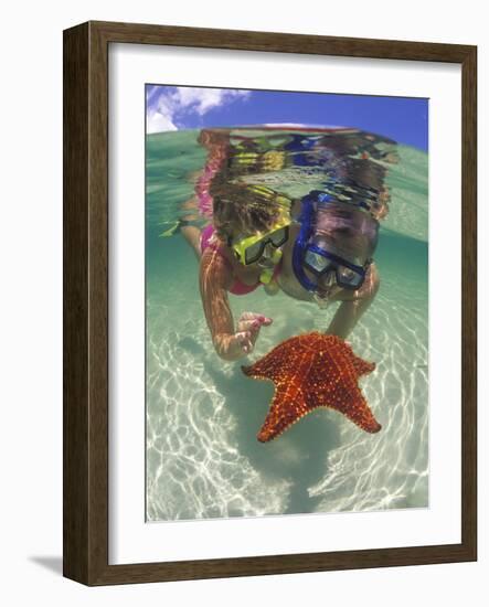 Snorkeling in the Blue Waters of the Bahamas-Greg Johnston-Framed Photographic Print