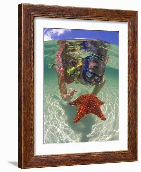 Snorkeling in the Blue Waters of the Bahamas-Greg Johnston-Framed Photographic Print