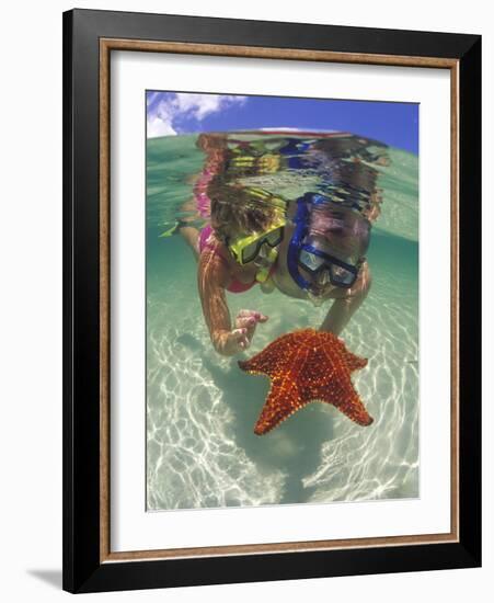 Snorkeling in the Blue Waters of the Bahamas-Greg Johnston-Framed Photographic Print