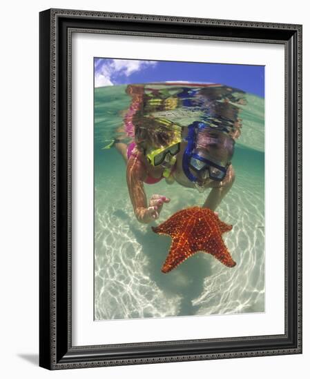 Snorkeling in the Blue Waters of the Bahamas-Greg Johnston-Framed Photographic Print