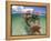 Snorkeling in the Blue Waters of the Bahamas-Greg Johnston-Framed Premier Image Canvas