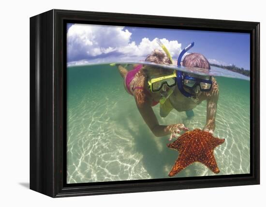 Snorkeling in the Blue Waters of the Bahamas-Greg Johnston-Framed Premier Image Canvas
