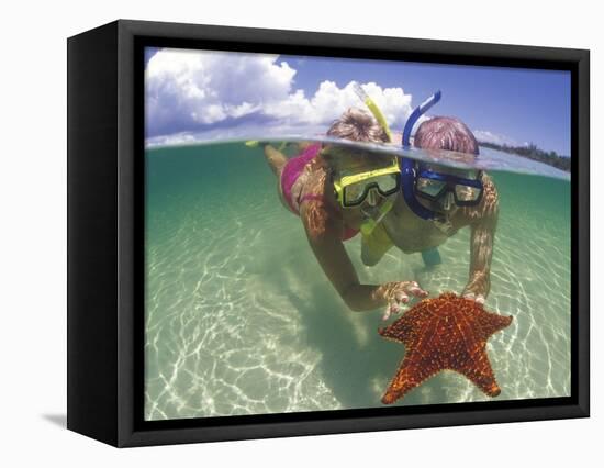 Snorkeling in the Blue Waters of the Bahamas-Greg Johnston-Framed Premier Image Canvas