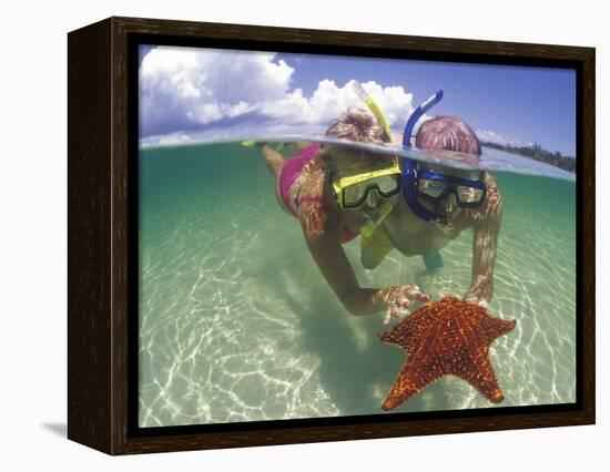 Snorkeling in the Blue Waters of the Bahamas-Greg Johnston-Framed Premier Image Canvas