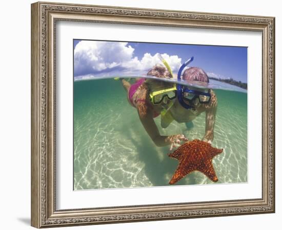 Snorkeling in the Blue Waters of the Bahamas-Greg Johnston-Framed Photographic Print