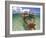 Snorkeling in the Blue Waters of the Bahamas-Greg Johnston-Framed Photographic Print