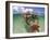 Snorkeling in the Blue Waters of the Bahamas-Greg Johnston-Framed Photographic Print