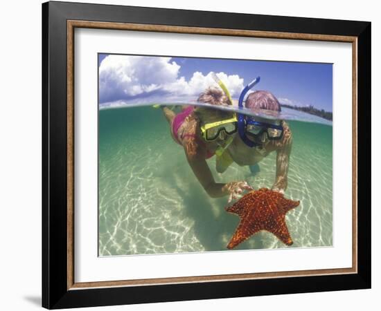 Snorkeling in the Blue Waters of the Bahamas-Greg Johnston-Framed Photographic Print