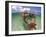 Snorkeling in the Blue Waters of the Bahamas-Greg Johnston-Framed Photographic Print