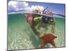 Snorkeling in the Blue Waters of the Bahamas-Greg Johnston-Mounted Photographic Print