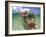 Snorkeling in the Blue Waters of the Bahamas-Greg Johnston-Framed Photographic Print