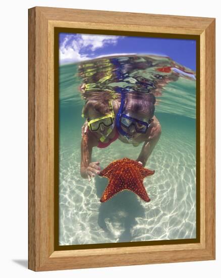 Snorkeling in the Blue Waters of the Bahamas-Greg Johnston-Framed Premier Image Canvas