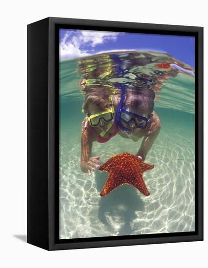 Snorkeling in the Blue Waters of the Bahamas-Greg Johnston-Framed Premier Image Canvas