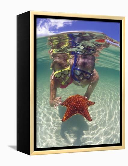 Snorkeling in the Blue Waters of the Bahamas-Greg Johnston-Framed Premier Image Canvas