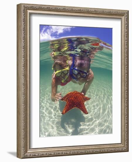 Snorkeling in the Blue Waters of the Bahamas-Greg Johnston-Framed Photographic Print