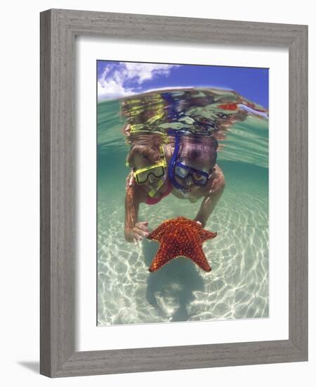 Snorkeling in the Blue Waters of the Bahamas-Greg Johnston-Framed Photographic Print