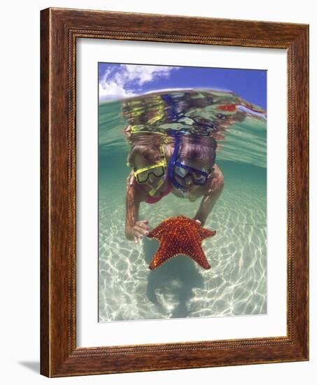 Snorkeling in the Blue Waters of the Bahamas-Greg Johnston-Framed Photographic Print