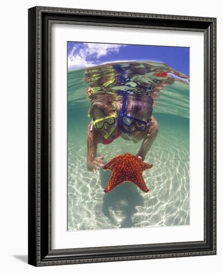 Snorkeling in the Blue Waters of the Bahamas-Greg Johnston-Framed Photographic Print