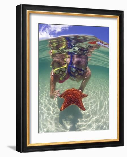 Snorkeling in the Blue Waters of the Bahamas-Greg Johnston-Framed Photographic Print