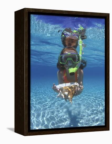 Snorkeling in the Blue Waters of the Bahamas-Greg Johnston-Framed Premier Image Canvas