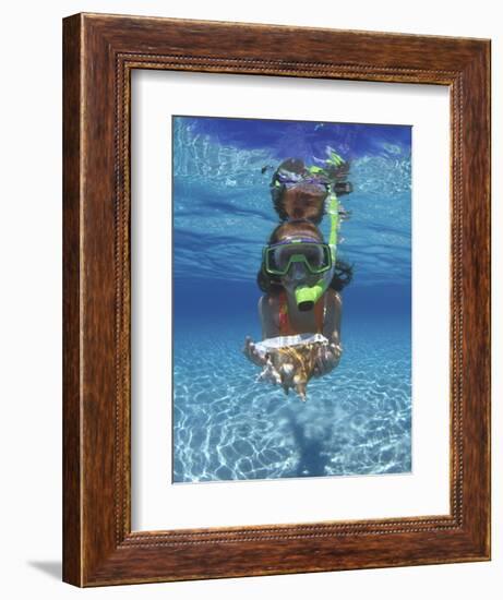 Snorkeling in the Blue Waters of the Bahamas-Greg Johnston-Framed Photographic Print