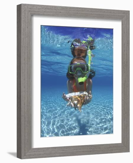 Snorkeling in the Blue Waters of the Bahamas-Greg Johnston-Framed Photographic Print