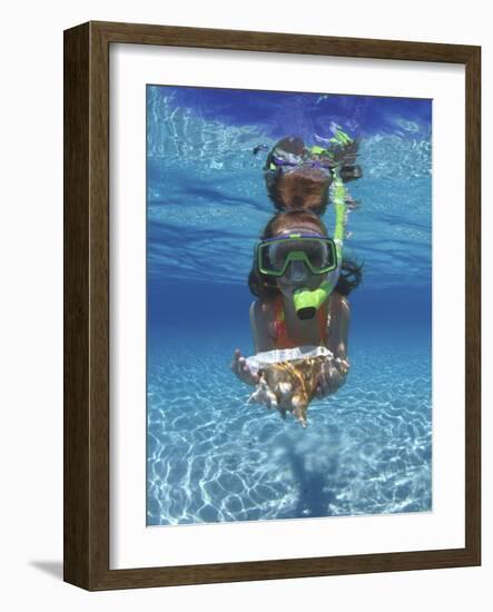 Snorkeling in the Blue Waters of the Bahamas-Greg Johnston-Framed Photographic Print