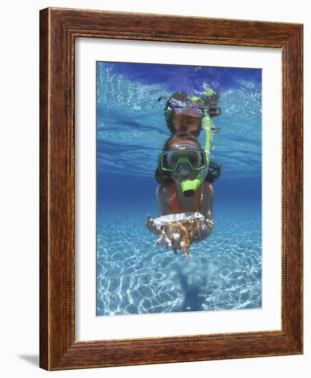 Snorkeling in the Blue Waters of the Bahamas-Greg Johnston-Framed Photographic Print