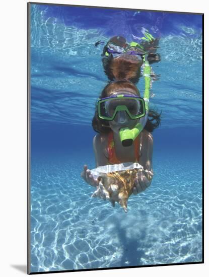 Snorkeling in the Blue Waters of the Bahamas-Greg Johnston-Mounted Photographic Print